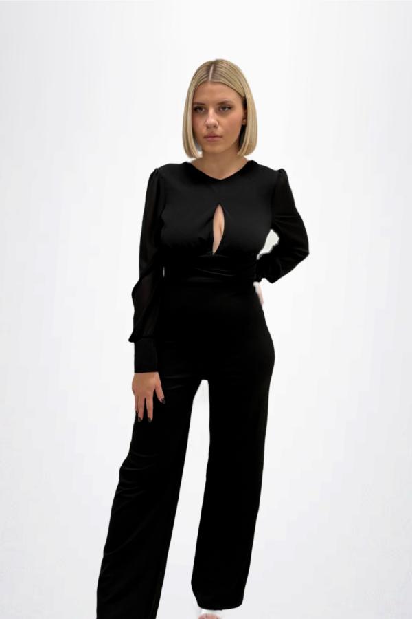 Sheer Sleeve Jumpsuit