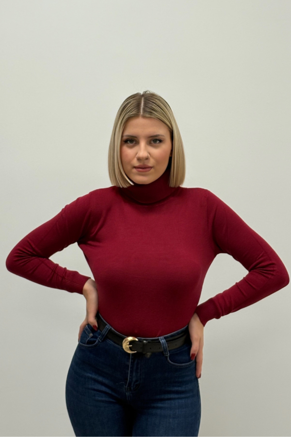 Soft Touch Turtleneck