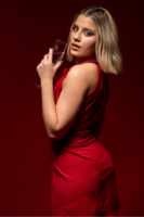 Suitlike Dress
